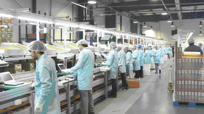 En Tierra del Fuego, la industria electrónica emplea a 12.000 personas