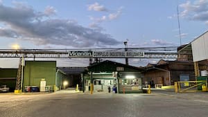 Unión Agrícola Avellaneda se suma a la puja por Vicentin y apoyará la propuesta de Molinos Agro y LDC