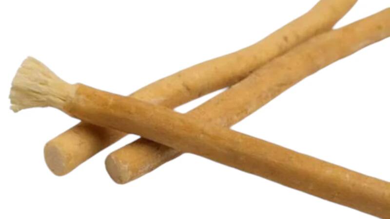 Así luce el miswak, el cepillo de diente alternativo y natural. Fuente: Archivo.