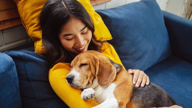 ¿Los perros nos entienden? La particular respuesta de la ciencia que cambia todo lo que sabemos sobre nuestros mejores amigos.