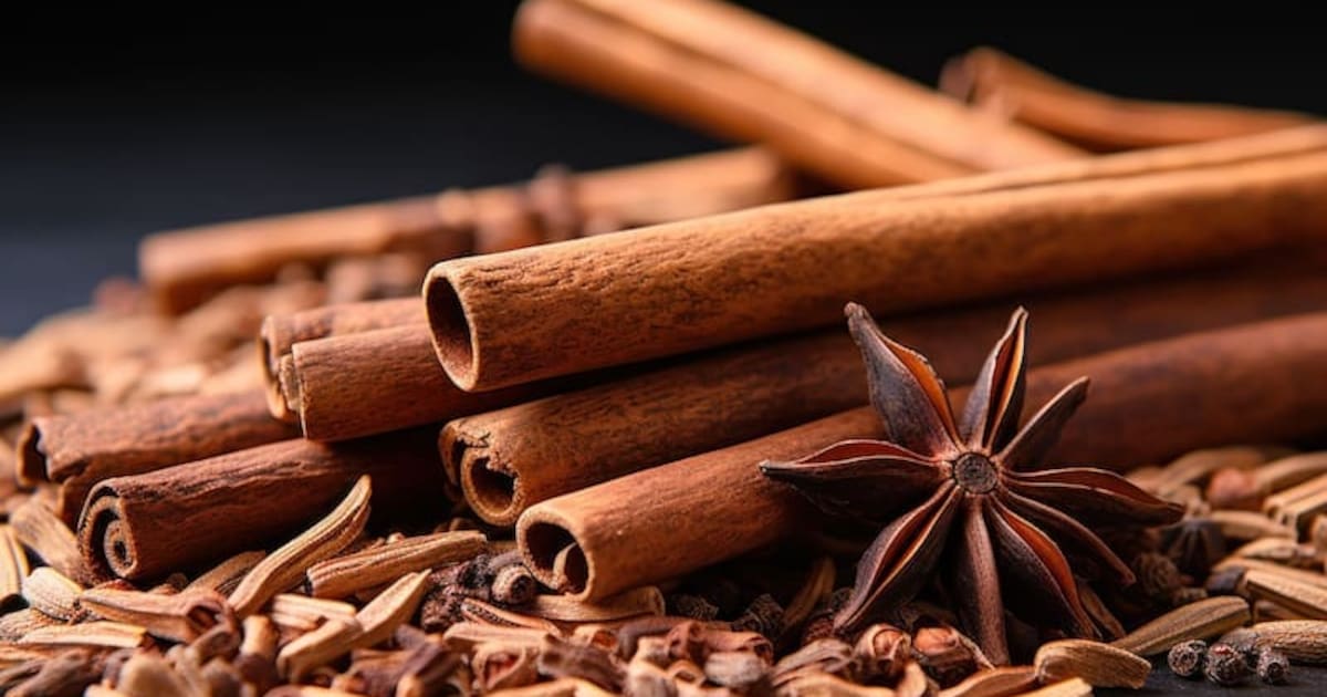 Canela en rama o en polvo: diferencias clave y beneficios para la salud