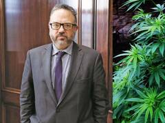 Cannabis: el Gobierno busca jugadores para un negocio de más de u$s 500 millones
