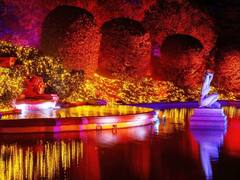 Jardín Botánico de Madrid 2022: entradas, precios y horarios de Naturaleza Encendida