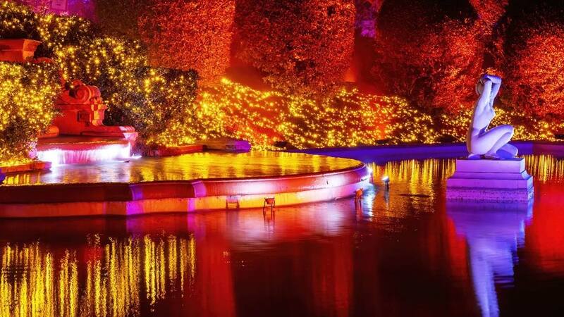 Experiencia inmersiva "Naturaleza Encendida". Fuente: instagram
@naturaleza_encendida