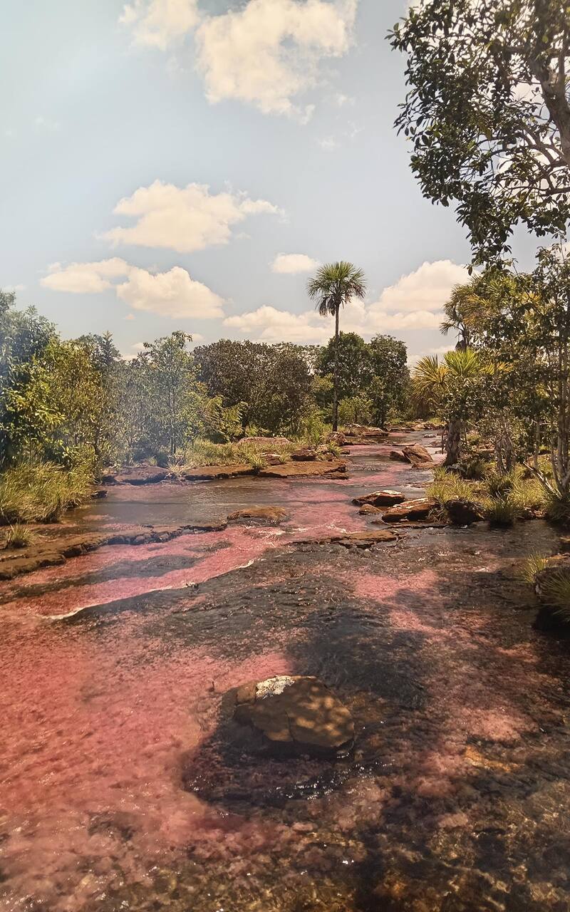 Este Río es un rincón escondido que invita al asombro, a la calma y a la reflexión sobre lo que aún puede descubrirse en Colombia (Fuente: Turismo San José del Guaviare).