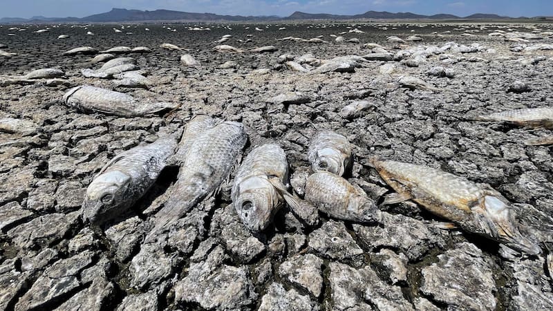 <div class="migrated-promo-image__description"><div class="migrated-promo-image__source">Fuente: EFE</div></div>