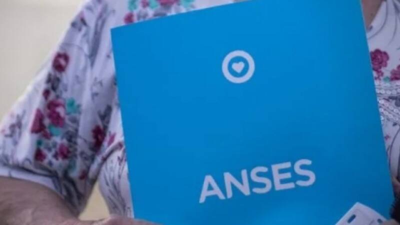 <div class="migrated-promo-image__description"><div class="migrated-promo-image__source">Fuente: ANSES</div></div>