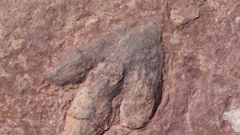 El descubrimiento de estas huellas podrían ser la respuesta a muchas preguntas sobre los continentes y la conformación de la Tierra.