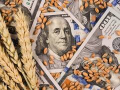 Baja de retenciones: cómo queda cada alícuota tras el anuncio de Milei