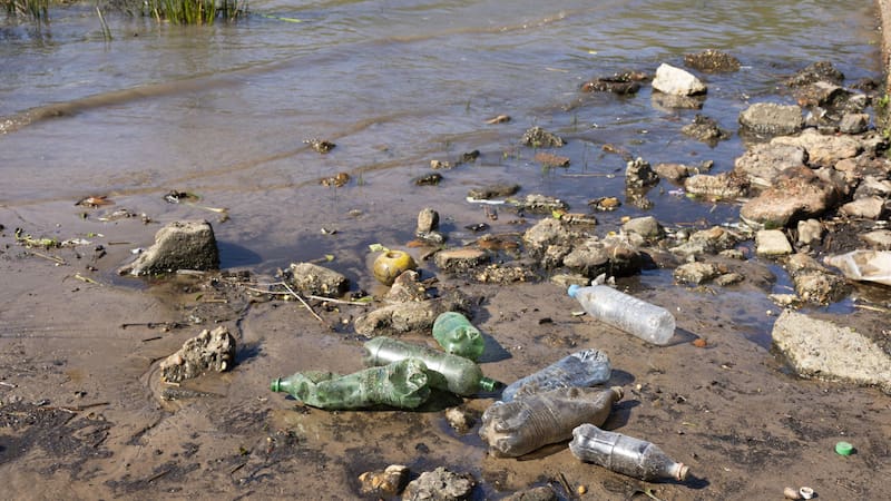 Con esta medida, se busca recuperar la vida fluvial y potenciar el turismo y el comercio.