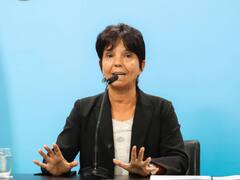 Desde AFIP destacan la "incipiente recuperación" de la actividad económica