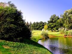 Golf imperdible: dónde jugar sábado, domingo o feriados por $ 200