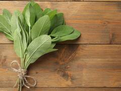 Alzheimer: la hierba medicinal que estimula el sueño, ayuda a prevenir el deterioro neuronal y alivia los dolores del cuerpo