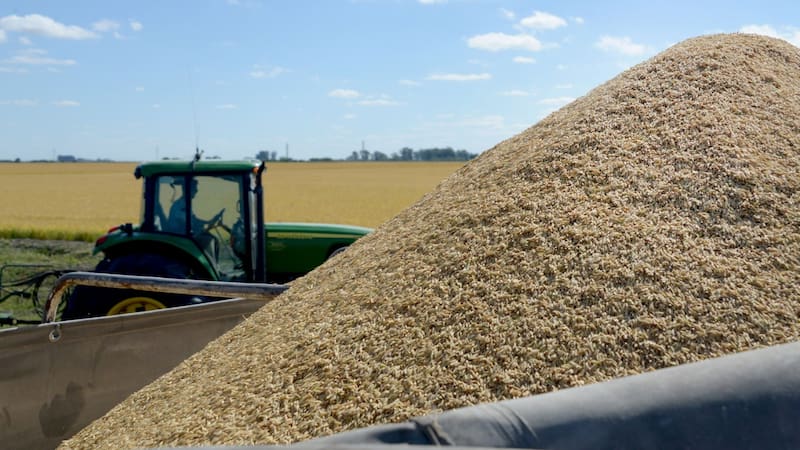 Fabricantes de maquinaria agrícola proyectan un crecimiento de 20% para 2024