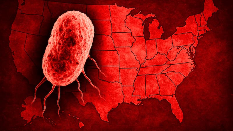 ¿Se aproxima otra pandemia? Una nueva bacteria que devora la carne ya mató a casi 100 personas en EE.UU.