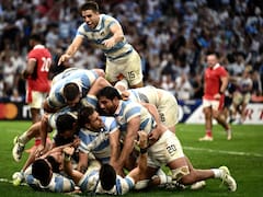 Los Pumas dieron vuelta el partido ante Gales y ya están en semifinales