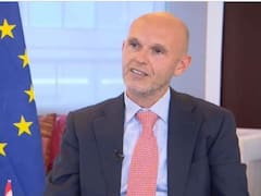 "Con cepo al dólar las empresas no van a venir a Argentina", dijo el embajador de Países Bajos