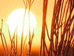 Solsticio de verano: qué significa y cuándo ocurrirá en 2022