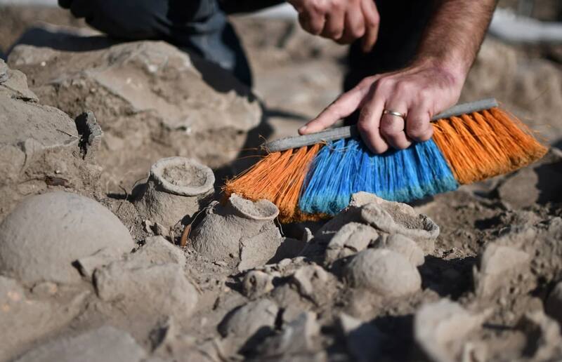 Los hallazgos se expondrán en una conferencia especializada.