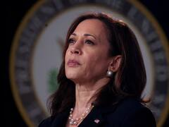 Los demócratas, ante el dilema de apoyar a Harris o permitir una convención abierta