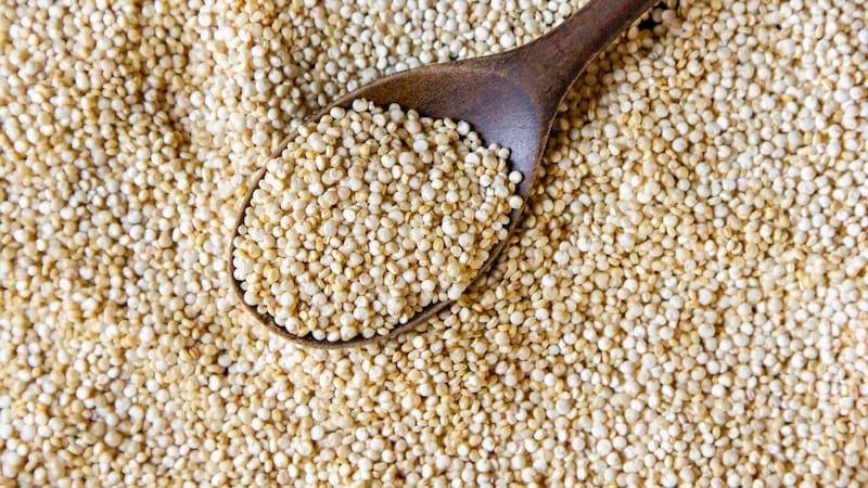 Investigaciones recientes confirman que es una fuente rica en nutrientes esenciales para quienes la cultivan y consumen.