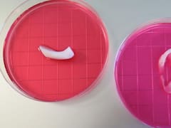 Esta impresora 3D produce órganos, tejidos y huesos que podrían ser implantados en humanos