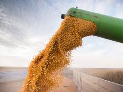 Coronavirus: cierran 15 días las terminales de las cinco mayores agroexportadoras de granos en Timbúes