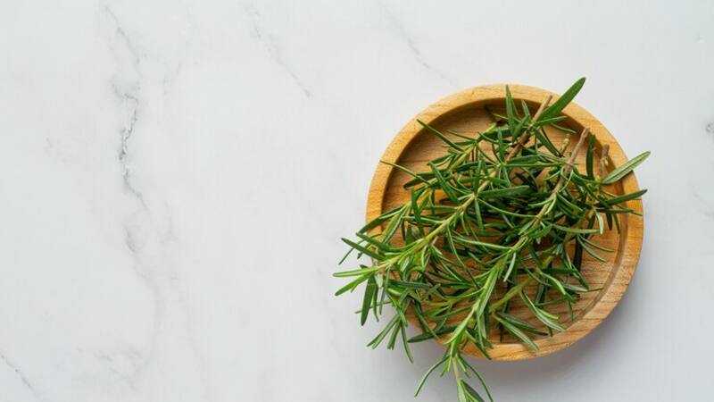 <div class="migrated-promo-image__description"><div class="migrated-promo-image__source">Fuente: Freepik</div></div>