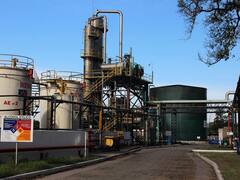 Ingenio tucumano sale a buscar u$s 30 millones para completar proyecto