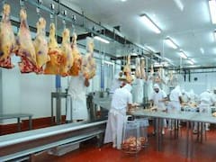 El lomo argentino aterriza en Japón: llega el primer envío de carne vacuna de la historia