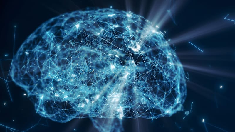 Antes de morir, el cerebro atraviesa una fase de hiperactividad breve pero intensa. Fuente: archivo