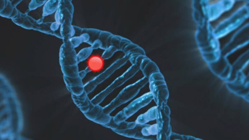 <div class="migrated-promo-image__description"><div class="migrated-promo-image__source">Fuente: Pixabay</div></div>