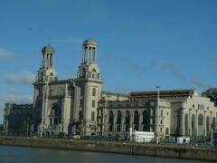 Central Puerto busca opciones al regulado sector energético: paga u$s 70 M por activos forestales