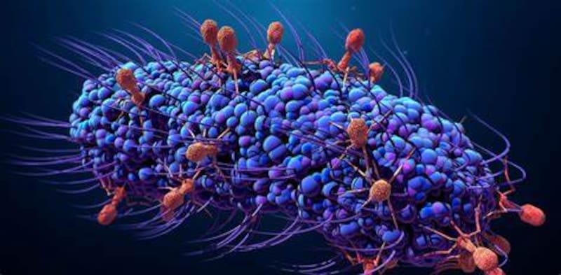 La acumulación de gérmenes en toallas de baño trae problemas de salud. (Foto: archivo)