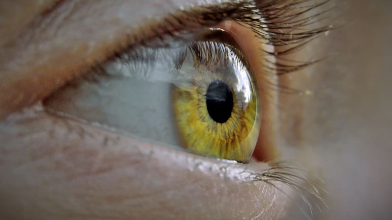 Impresionante descubrimiento: desarrollan una cámara para registrar imágenes más allá de la comprensión humana.