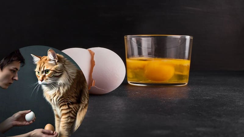 <div class="migrated-promo-image__description"><div class="migrated-promo-image__source">Fuente: Freepik</div></div>