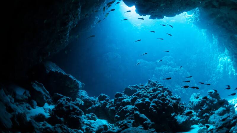 Descubren un tesoro submarino con 200 millones de toneladas de metales esenciales.