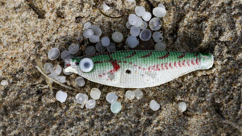 Catástrofe ambiental: las playas de Galicia están infestadas y el Gobierno demora en dar respuestas.