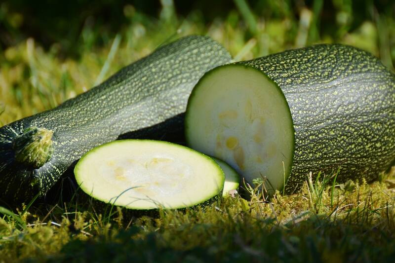 El zuchinni o calabacín es el protagonista de la receta y una forma exquisita de incluir esta verdura en la dieta. Fuente: Pixabay