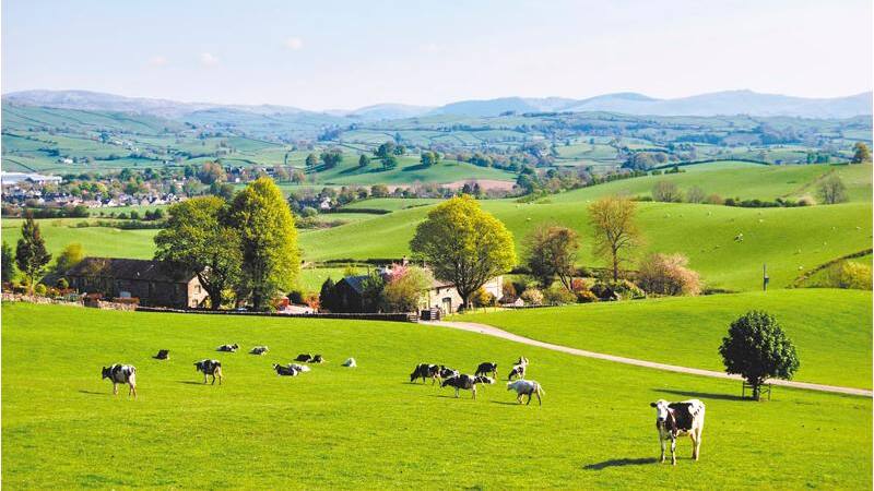 Los valores de los arrendamientos son similares a los del año pasado