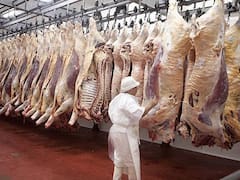 Deuda, cheques rechazados y despidos: la crisis del agro ahora pega en los frigoríficos