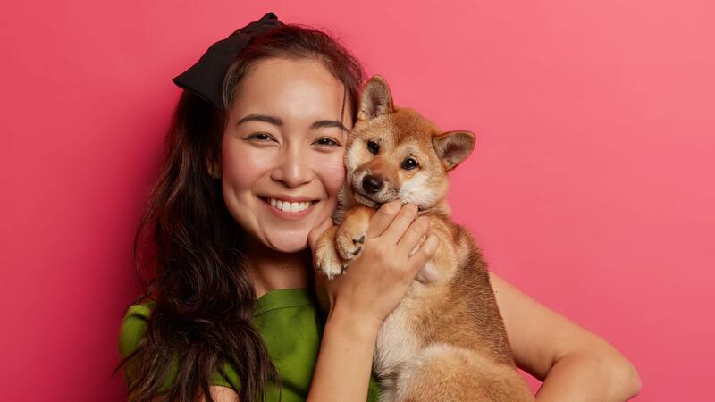 Los investigadores de la Universidad de Harvard y la Universidad de Tokio afirman que los dueños tienden a elegir perros que se parecen a ellos, ya sea en apariencia o temperamento. (Foto: Freepik)