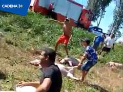 Alarma: una multitud saqueó camiones cargados con cerdos en una ruta nacional en Córdoba