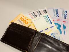 "Argentum": proponen una nueva moneda para reemplazar al peso, ¿cómo se implementaría?