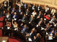 Un senador libertario defendió el dietazo y lo comparó con la expropiación de YPF: "Problema de matemáticas"