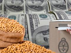 Soja: por menor producción, el país perdería u$s 2262 millones en exportaciones