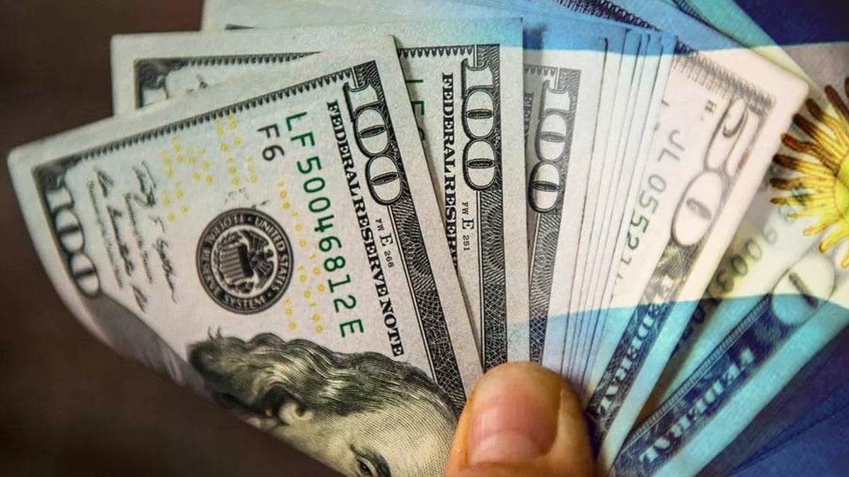 Milei tiene cuatro aliados que sostienen el dólar, pero... ¿podrían desaparecer en el segundo semestre?