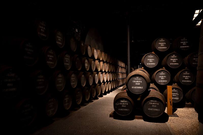 En Vila Nova de Gaia se encuentran las bodegas que fabrican el famoso vino de Oporto (Fuente: Shutterstock)