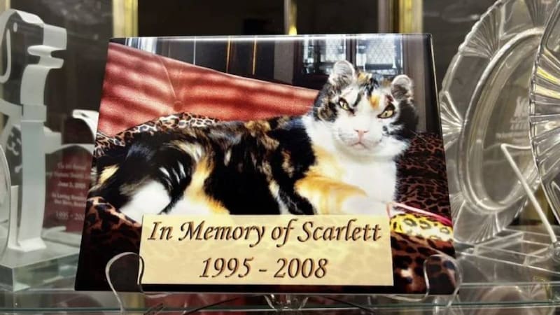 <div class="migrated-promo-image__description"><div class="migrated-promo-image__source">Fuente: Karen Wellen</div></div>