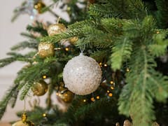 Se despide el árbol de Navidad: la nueva tendencia que llega desde Europa para las fiestas 2025